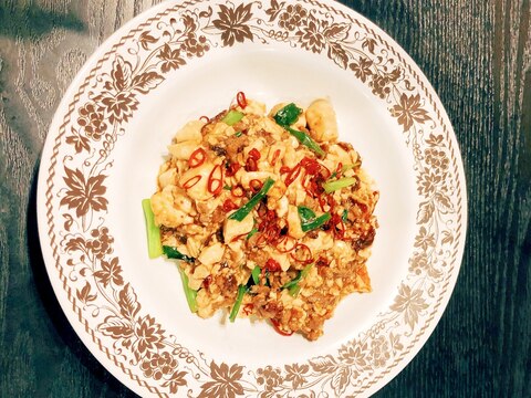 家にある材料で出来る！簡単♡子供とご馳走麻婆豆腐